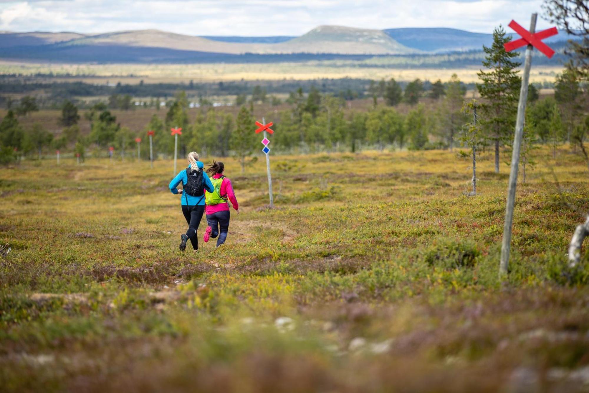 Rymlig Och Bekvaem Laegenhet, Fjaellterrassen Lofsdalenアパートメント エクステリア 写真