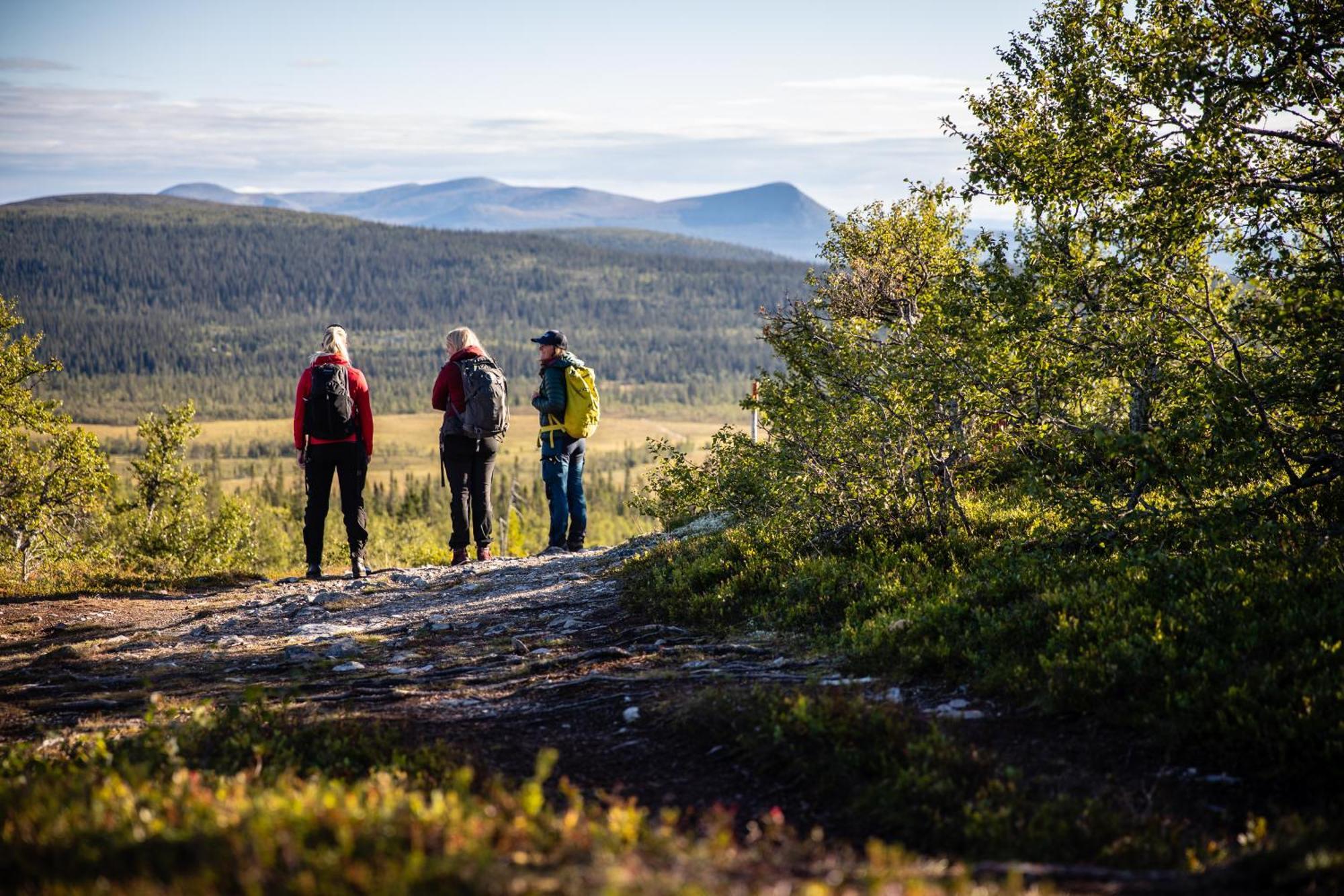 Rymlig Och Bekvaem Laegenhet, Fjaellterrassen Lofsdalenアパートメント エクステリア 写真