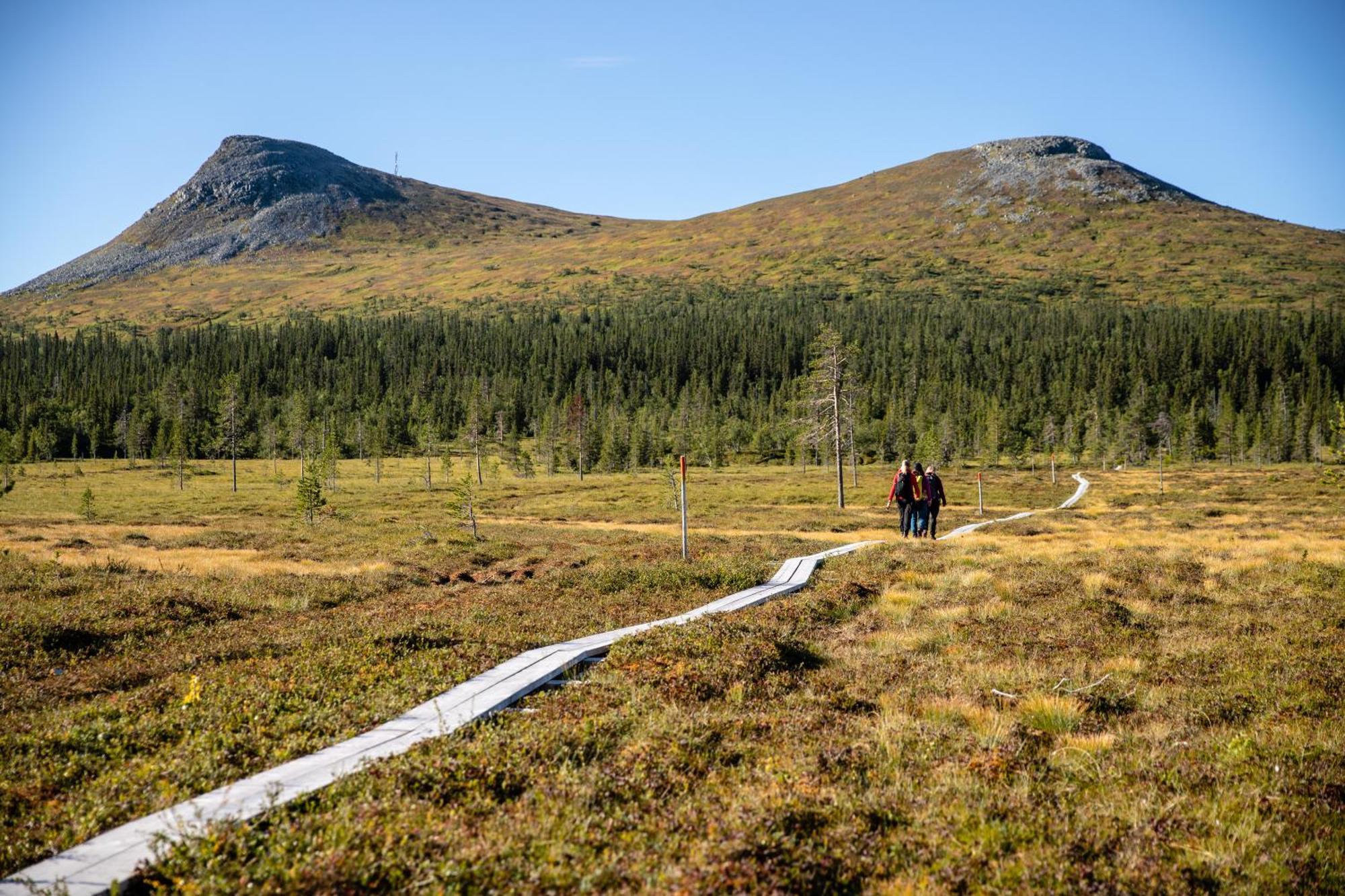 Rymlig Och Bekvaem Laegenhet, Fjaellterrassen Lofsdalenアパートメント エクステリア 写真